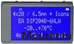 EA DIP204B-6NLW