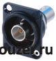 NBB75DFIB