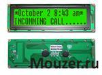 NHD-0220JZ-FSPG-GBW
