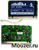 NHD-240128WG-AFTI-VZ#C5