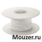 R24W-0100