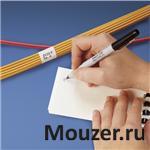 PSCB-12Y