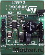 EVAL5973D